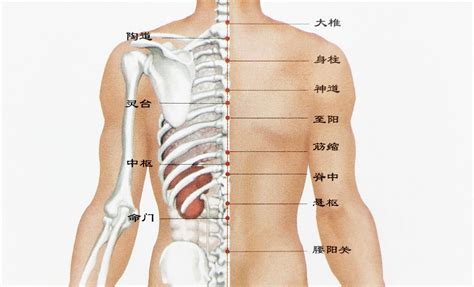 肚有痣|肚子痣相图解大全